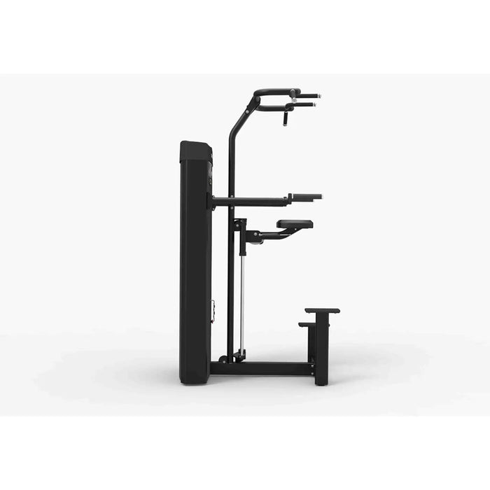 Spirit Fitness CSD-PUDA Dual Pull Up/Dip Assist